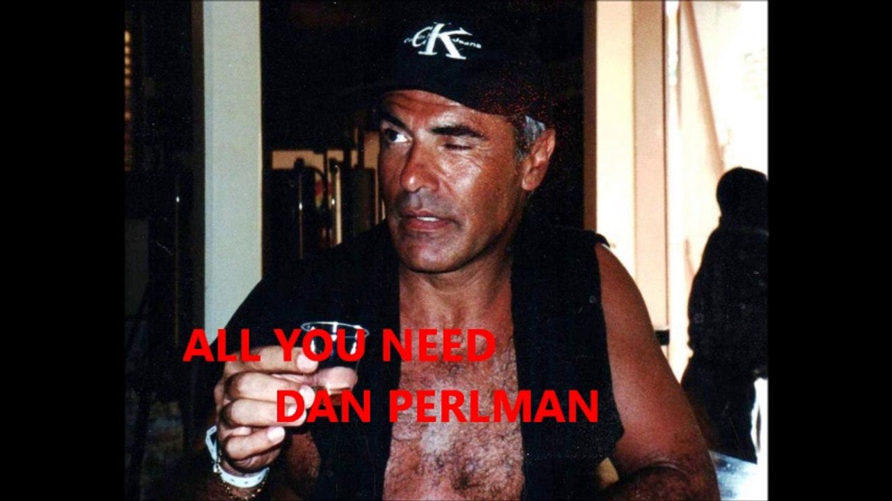 DAN PERLMAN   -    ALL YOU NEED