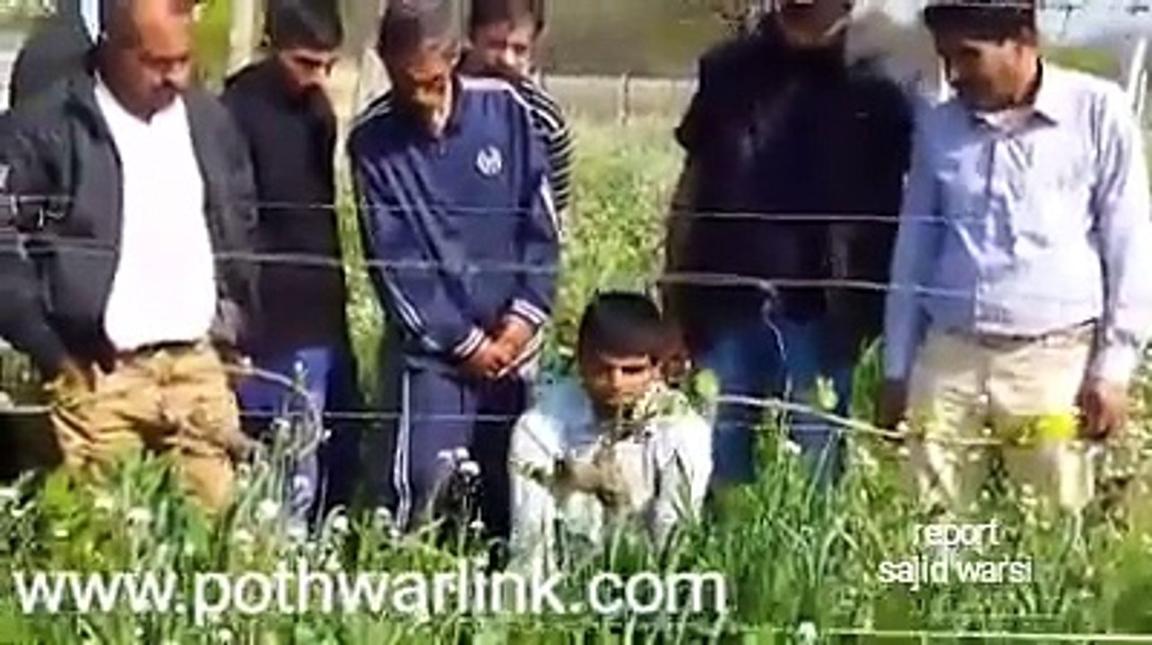 اٹلی کا گریپس گارڈن