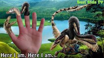 Finger Family Dinosaurs Collection - T-Rex, Velociraptors and others Dinosaurs Compilation Song