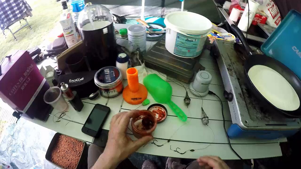 Silure à la ferme des Tommelles avril 2016