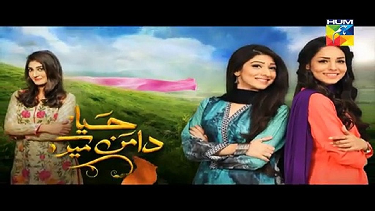 Haya Kay Daman Main Episode 9 Full HUM TV Drama 11 April 2016