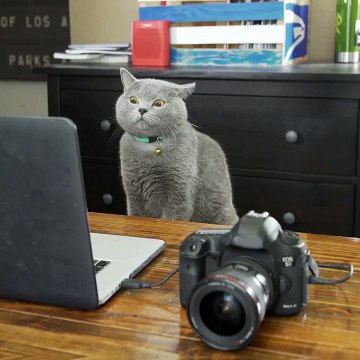 Когда захотел популярности