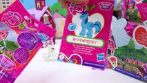 Hasbro My Little Pony Friendship Is Magic Wave 13 MLP Surprise Blind Bag - Cookieswirlc