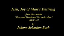 Jesu, Joy of Man's Desiring - J. S. Bach
