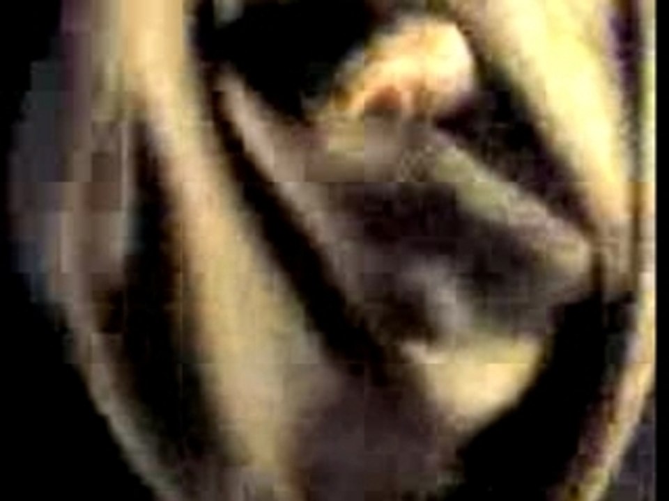 gare repaire des fou