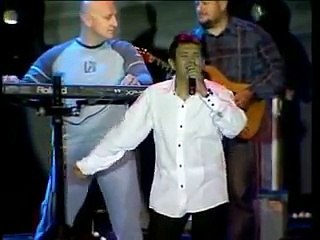 Sinan Sakic - Gradom se sapuce - (LIVE)
