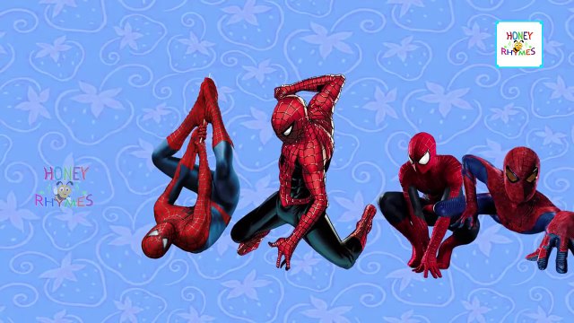 Finger Family Spiderman cartoon Family Songs | Spiderman Daddy Finger | Nursery Rhymes for Children