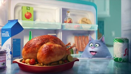 Девушки после 18 часов вечера ахах ржунимагу