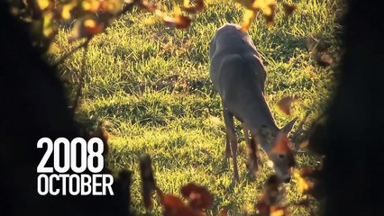 Junior Heartland Bowhunter EP 402