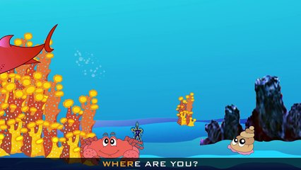 Finger Family Epic Battles Crazy Shark Vs Crazy Mermaid | Finger Family Nursery Rhymes