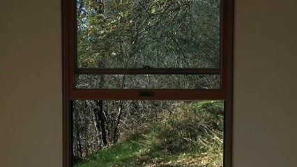 James Benning-Two Cabines