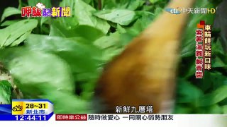 20160406中天新聞　車輪餅玩新口味　紫薯、湯圓、鹹青醬