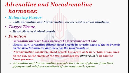 Adrenaline ,  Nonadrenaline hormones and Cortical Hormones