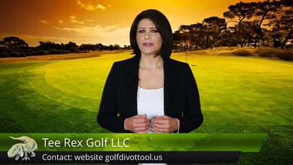 Golf Gifts - Golf Tees