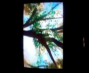 Toy story 2 when she loved me