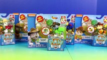 Nickelodeon Paw Patrol Cowboy Zuma Rocky Marshall Chase Rubble Skye Rescue Cali Chicken And Monkey