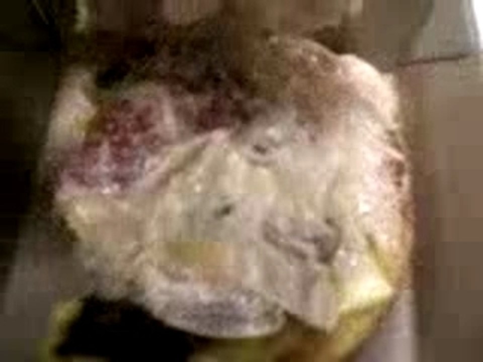 Simpson Burger