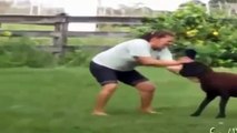 Funny Videos - Animal Attack Videos - Lion Attack on Man