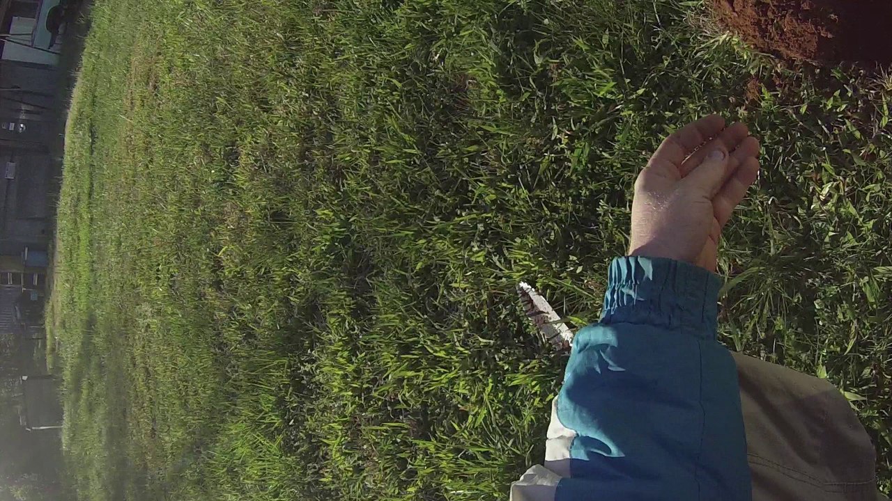 Metal detecting finds 4/09/2016