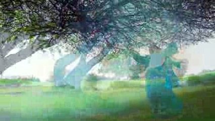 ANGEL - Tahir Shah Song HD _ Latest Song Of Tahir Shah ANGEL - Tahir Shah New Song