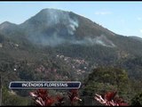 09-09-2013 - INCÊNDIOS FLORESTAIS - ZOOM TV JORNAL