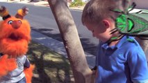 Science: Cicadas for Elementary Students