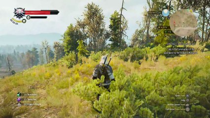 WITCHER 3 DEATH MARCH! WALKTHROUGH 71 - CONTRACT WOODLAND BEAST