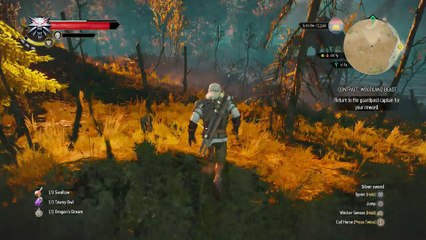 WITCHER 3 DEATH MARCH! WALKTHROUGH 72 - CONTRACT WOODLAND BEAST