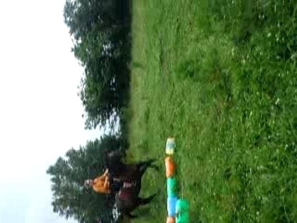 gallopeuse et moi