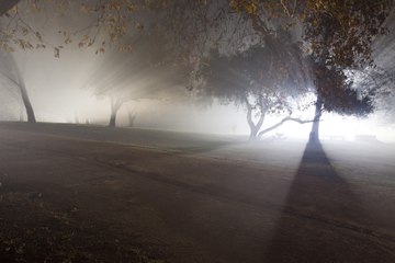 Afraid of Los Angeles and Overcoming that Fear