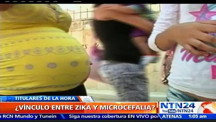 Científicos brasileños publican estudio que constata el vínculo entre el virus del zika y la microcefalia