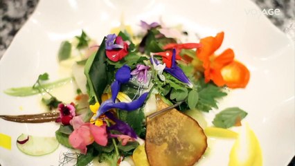 Les meilleurs chefs du monde