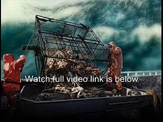 Watch Deadliest Catch Season 12 Episode 3 Online Free Stream