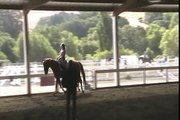 Dressage exercise: canter - halt - walk - canter transitions. 2009 Zena