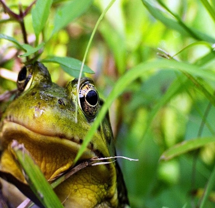 골드카지노 ウ【♧】SDSD9。COM【♧】점보카지노
