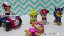 PAW PATROL Play-Doh Nickelodeon Paw Patrol CONFUSION SKYE MARSHALL CHASE KITTEN