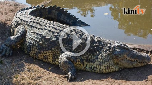 Waris nekad balas dendam selepas baham mangsa