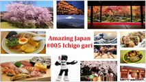 Amazing Japan #005 Ichigo gari - Strawberry picking - イチゴ狩り