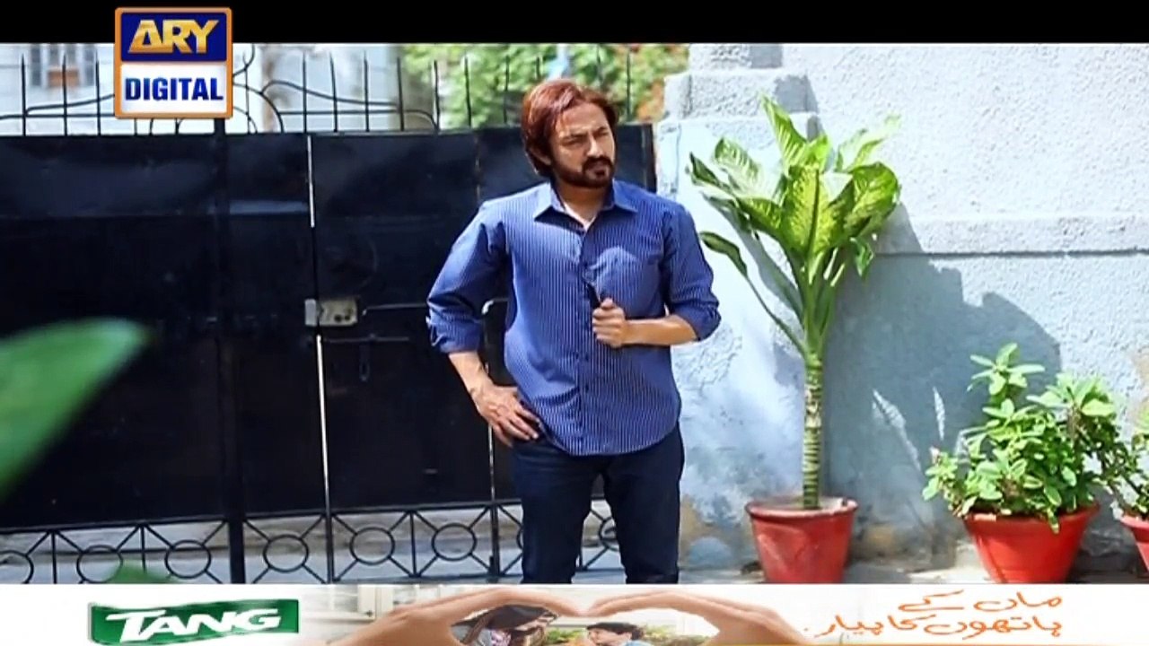 Guriya Rani Episode 196 on Ary Digital in High...