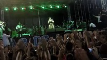 Fernanda Brum