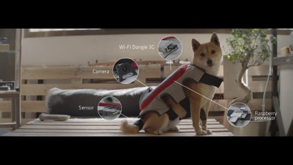 Votre chien peut poster ses photos sur Facebook tout seul !