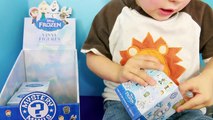 Disney Frozen Mystery Minis Funko Surprise Boxes Toy Hunt for Marshmallow Ice Frozen Princess Anna