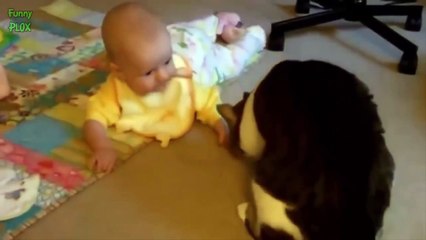 Cute Cats and Dogs Love Babies Compilation 2016