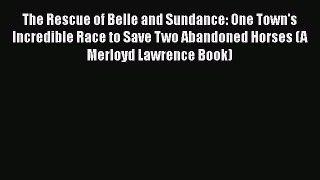 Read The Rescue of Belle and Sundance: One Town's Incredible Race to Save Two Abandoned Horses