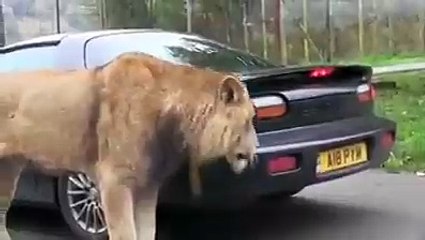 Full video funny new song ar0026 VID-20160320-WA0014