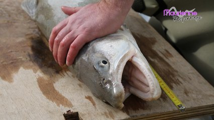 Maurienne Reportage # 49 - Ouverture des vannes de vidange du barrage du Mont-Cenis