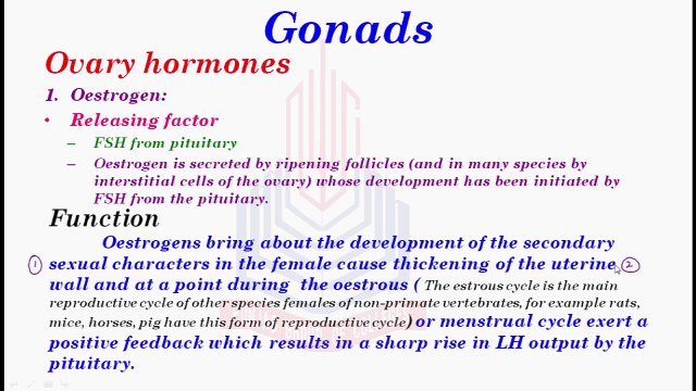 Gonads ( Ovarian Hormones : Oestrogen and Progesterone )
