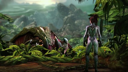 ★ Starcraft 2 - Heart of the Swarm - The Movie Extended Cut - ALL HD Cinematics & MORE!