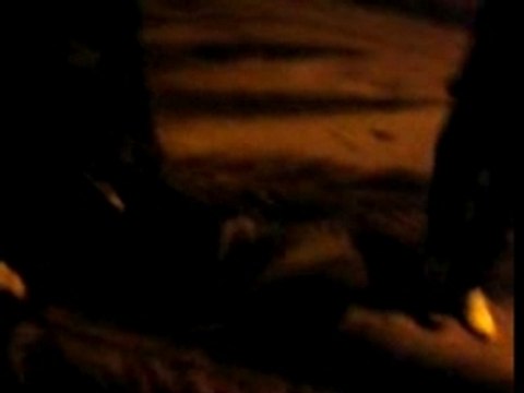 moi me battant contre le palmier