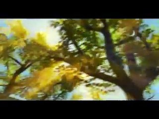 Toy Story 2 When Somebody loved me (European Spanish)